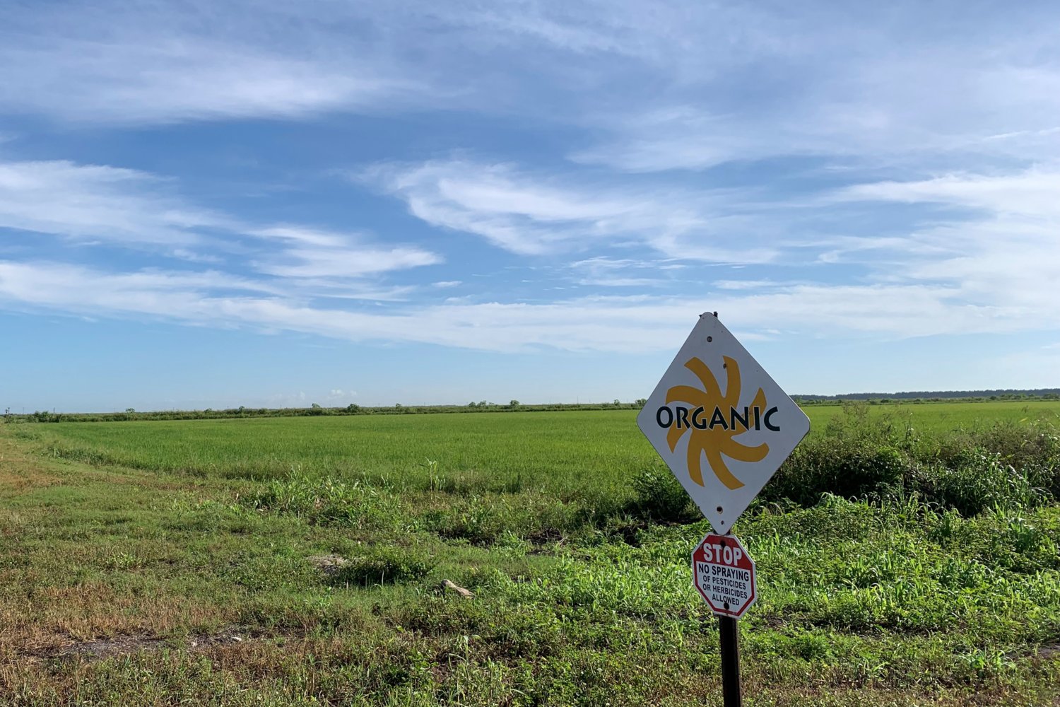 Florida Crystals’ 10,000-acre organic farm is the only ROC farmland in Florida. [Courtesy photo]